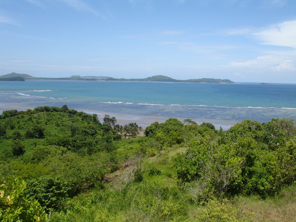 DSC00902